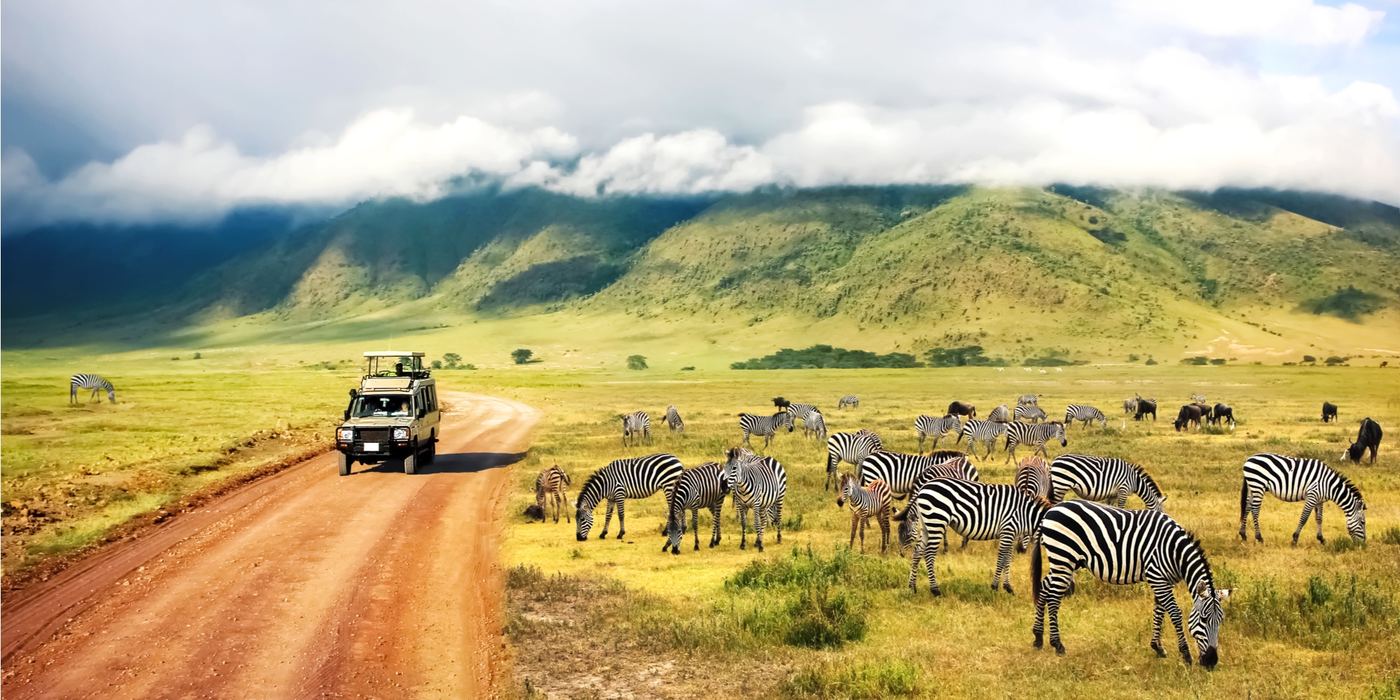 Zebras against mountains and clouds