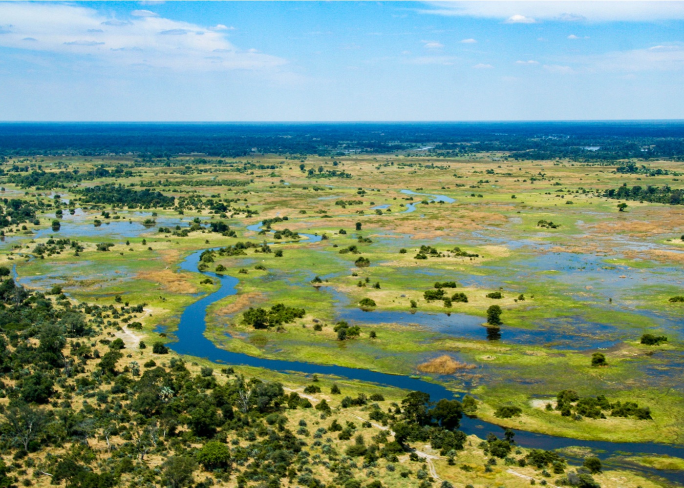 vast inland river delta in northern Botswana covered with forest